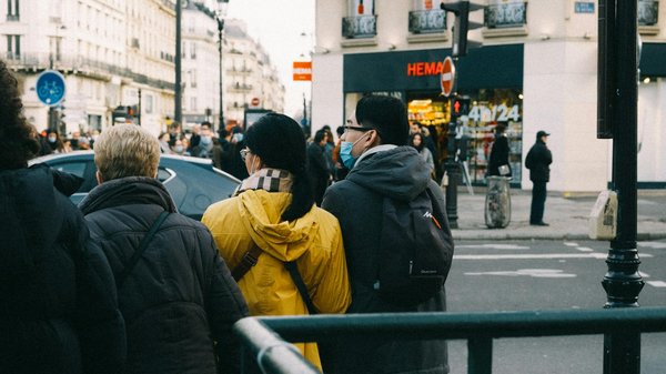 Top choix de pellets pour un chauffage écologique avantageux