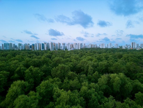 Comment la digitalisation impacte-t-elle la population mondiale ?