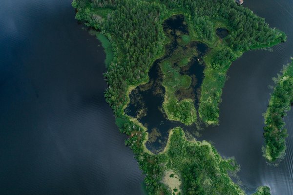 Équilibrez votre bien-être avec une diététicienne à Reims
