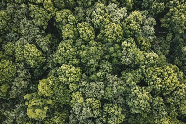 Permaculture et économie : un modèle viable ?